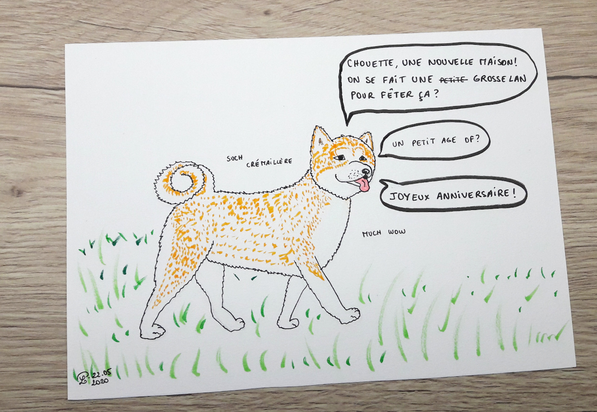 Illustration d'un chien de race Akita Inu qui dit "Chouette, une nouvelle maison ! On se fait une petite, non, GROSSE L.A.N. pour fêter ça ? Un petit Age of Empires ? Joyeux anniversaire !" On peut également lire "Such crémaillère, much wow"